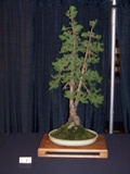 Annual Show 2011 - 5 2011